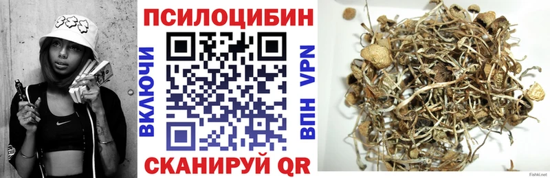 Псилоцибиновые грибы прущие грибы  Купить где  Мичуринск 